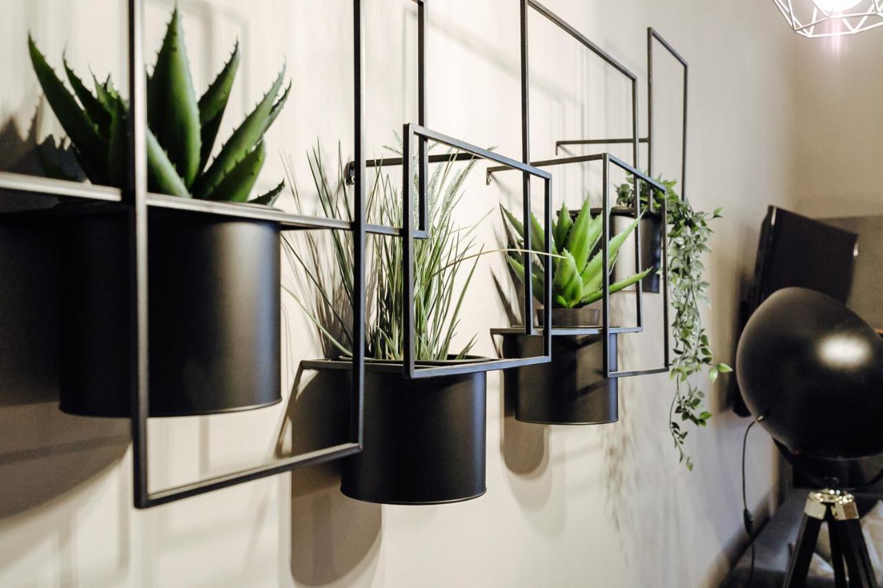 Apartment An Der Altstadt 하멜른 외부 사진